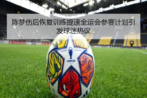 陈梦伤后恢复训练提速全运会参赛计划引发球迷热议 | Aiyouxi