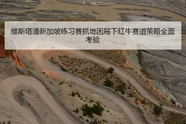 维斯塔潘新加坡练习赛抓地困局下红牛赛道策略全面考验 | Aiyouxi